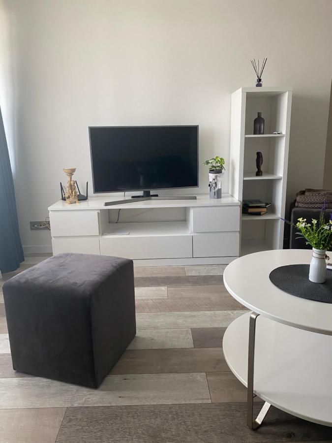 Nemuno Apartamentai Panevėžys Kültér fotó